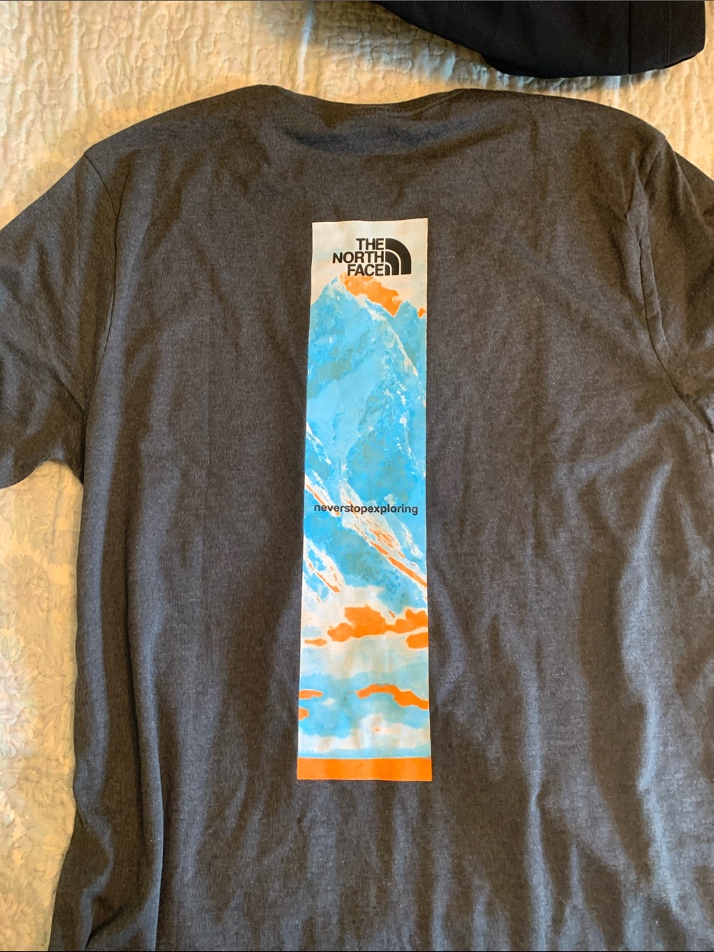 The North Face Men's Charcoal Graphic Back Print Tee - Blue & Orange Mountain